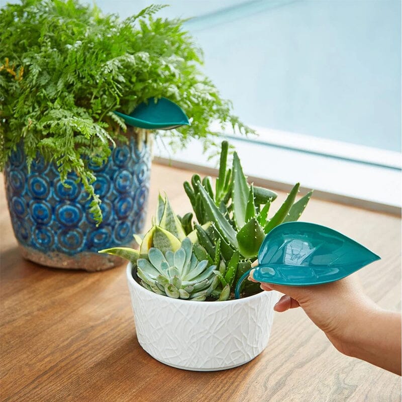 Funny Watering Leaves (6pcs)
