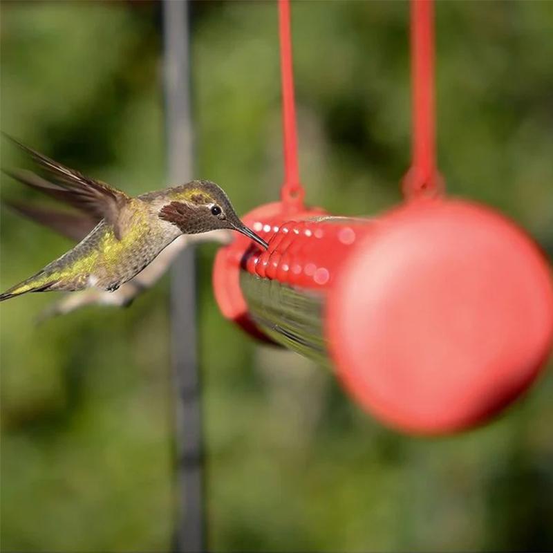 Fanshome™ Hanging Hummingbird Feeder
